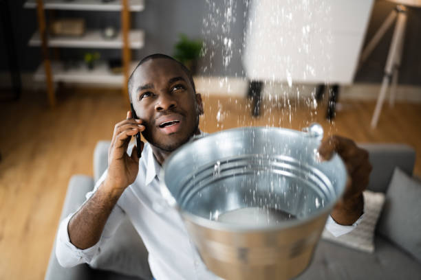 Best Sewage cleanup and water damage restoration  in St Louis Park, MN