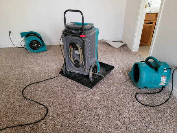 Best Fire Damage Restoration  in St Louis Park, MN