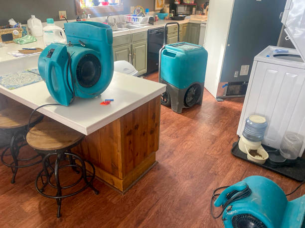 Best Local water damage restoration  in St Louis Park, MN