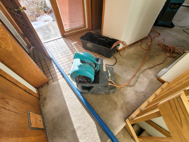 Best Water damage contractors near me  in St Louis Park, MN
