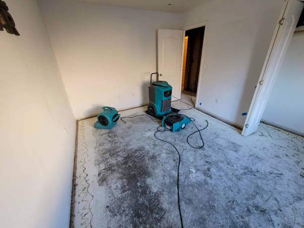 Best Flood restoration services  in St Louis Park, MN