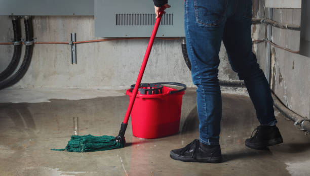 Best Water damage restoration near me  in St Louis Park, MN