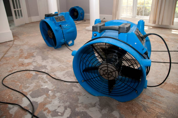 Best Emergency water damage restoration  in St Louis Park, MN