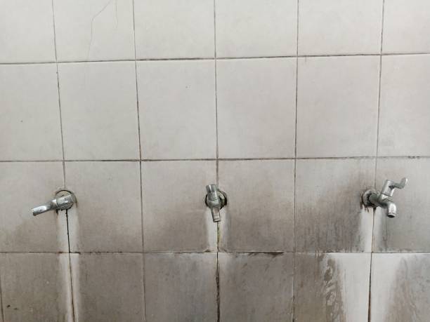 Best Flood damage cleanup  in St Louis Park, MN