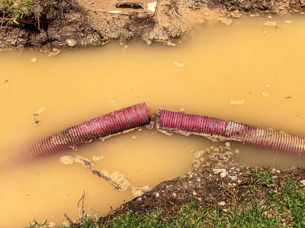 Best Commercial water damage restoration  in St Louis Park, MN