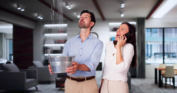 Reliable St Louis Park, MN Water damage restoration Solutions