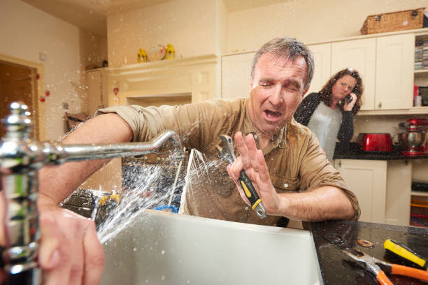 Best Basement water damage restoration  in St Louis Park, MN
